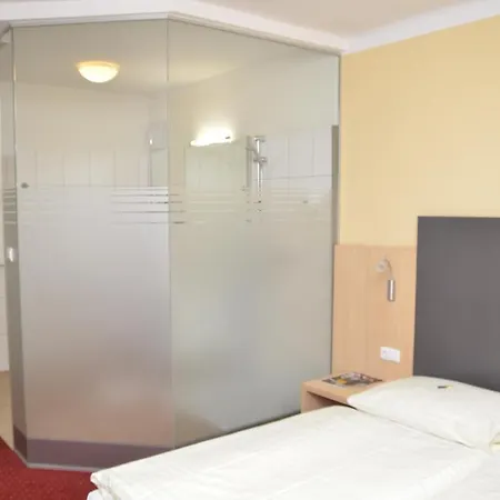 Hotel Hotel-garni Schwarzer Bär 3*